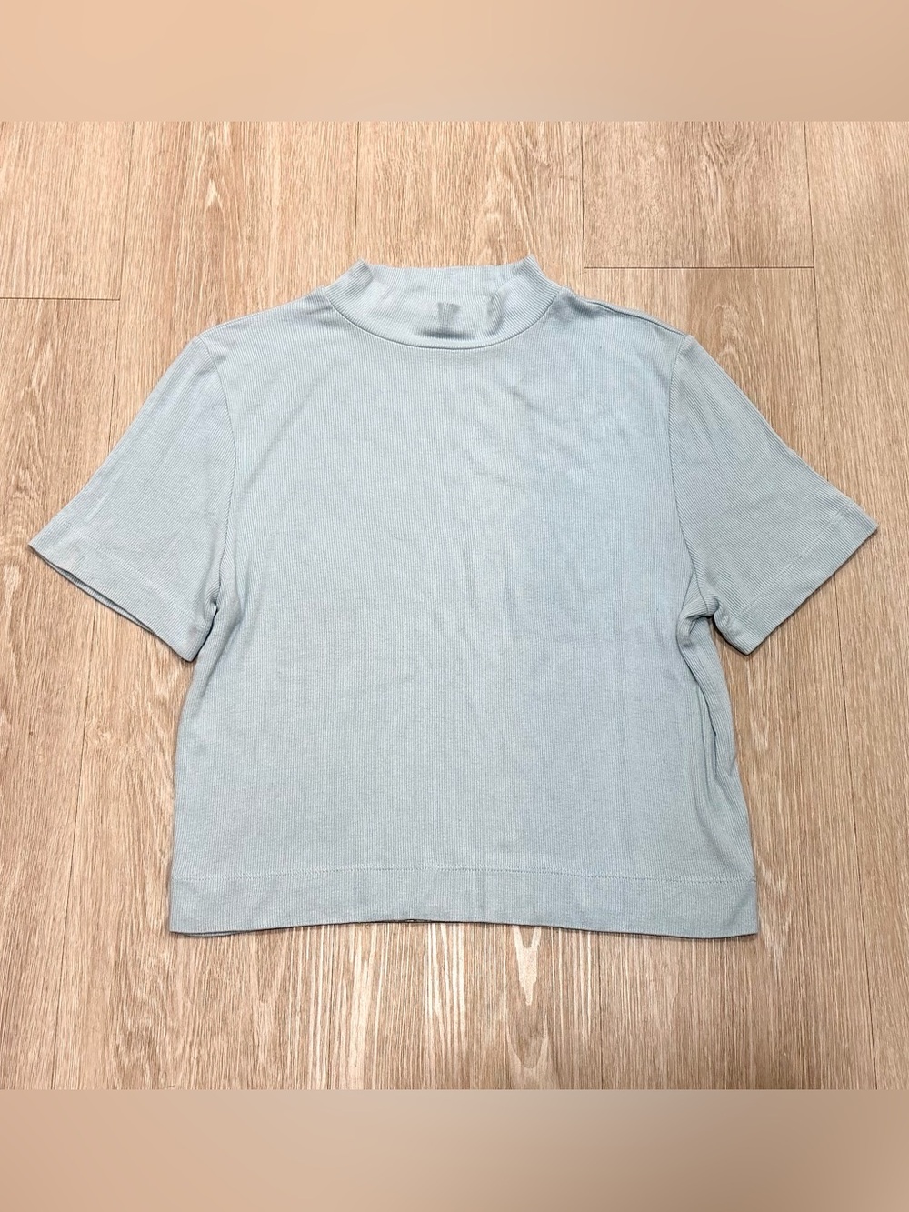 Aritzia Babaton Soft Rib Mock Neck Short Sleeve Top